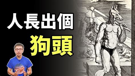 狗人傳說|世界各國的狗頭人傳說：東西方狗頭人有什麼區別？狗。